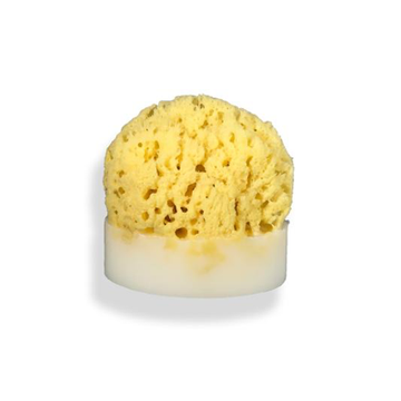 Sea Sponge Soap - VegoGlam (The Vegan Cosmetics Store)