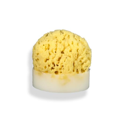 Sea Sponge Soap - VegoGlam (The Vegan Cosmetics Store)